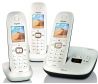 save £20 with product name